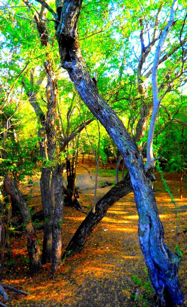 site de rencontre à la réunion gratuit