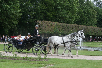 rencontres equestres luneville 2012