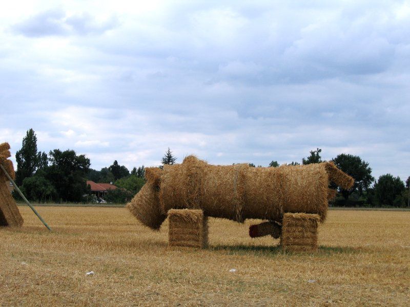 rencontre montauban tarn et garonne