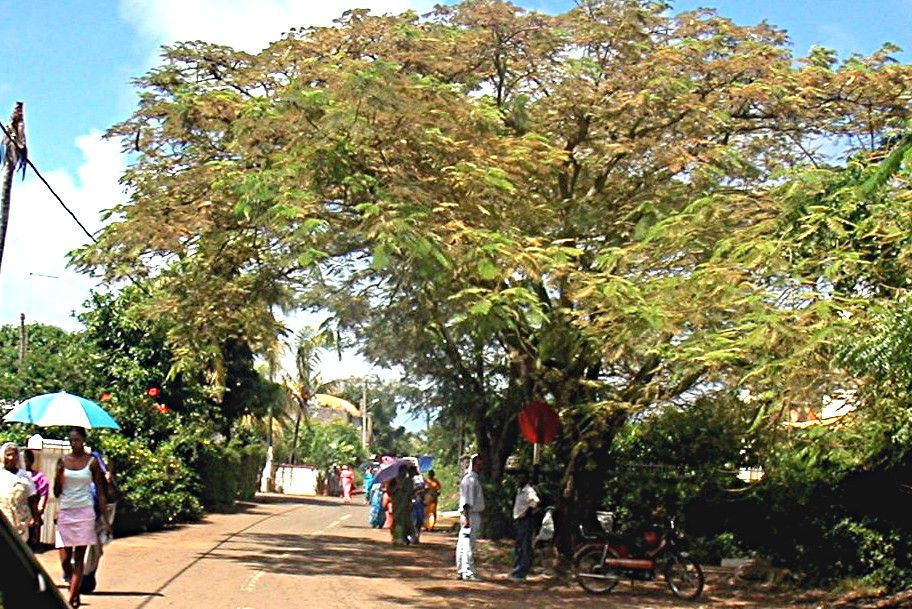 site de rencontres a l'ile maurice