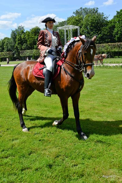 rencontres équestres lunéville 2014