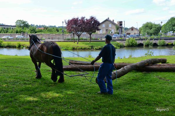 rencontres equestres luneville 2012