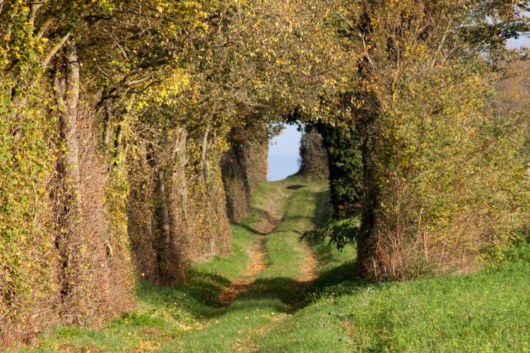 rencontre serieuse tarn et garonne