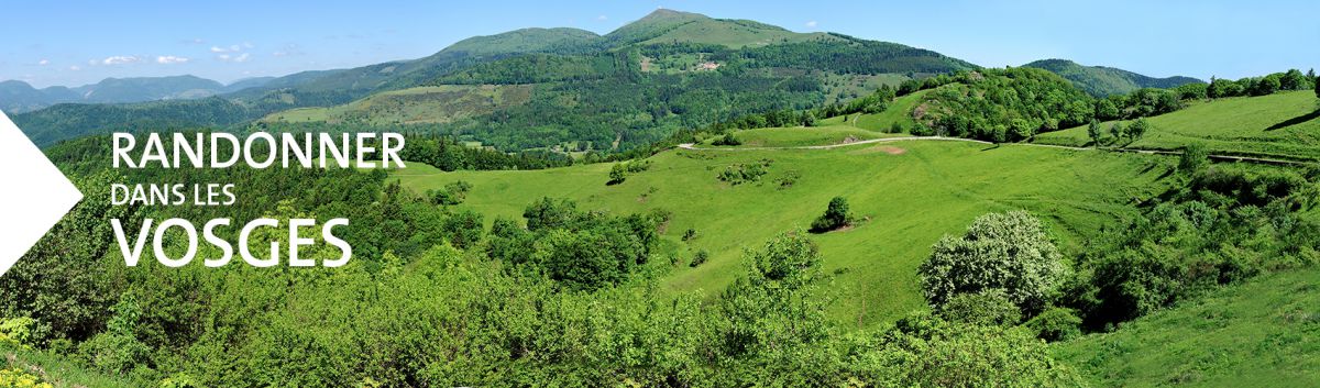 site de rencontre pour maurice