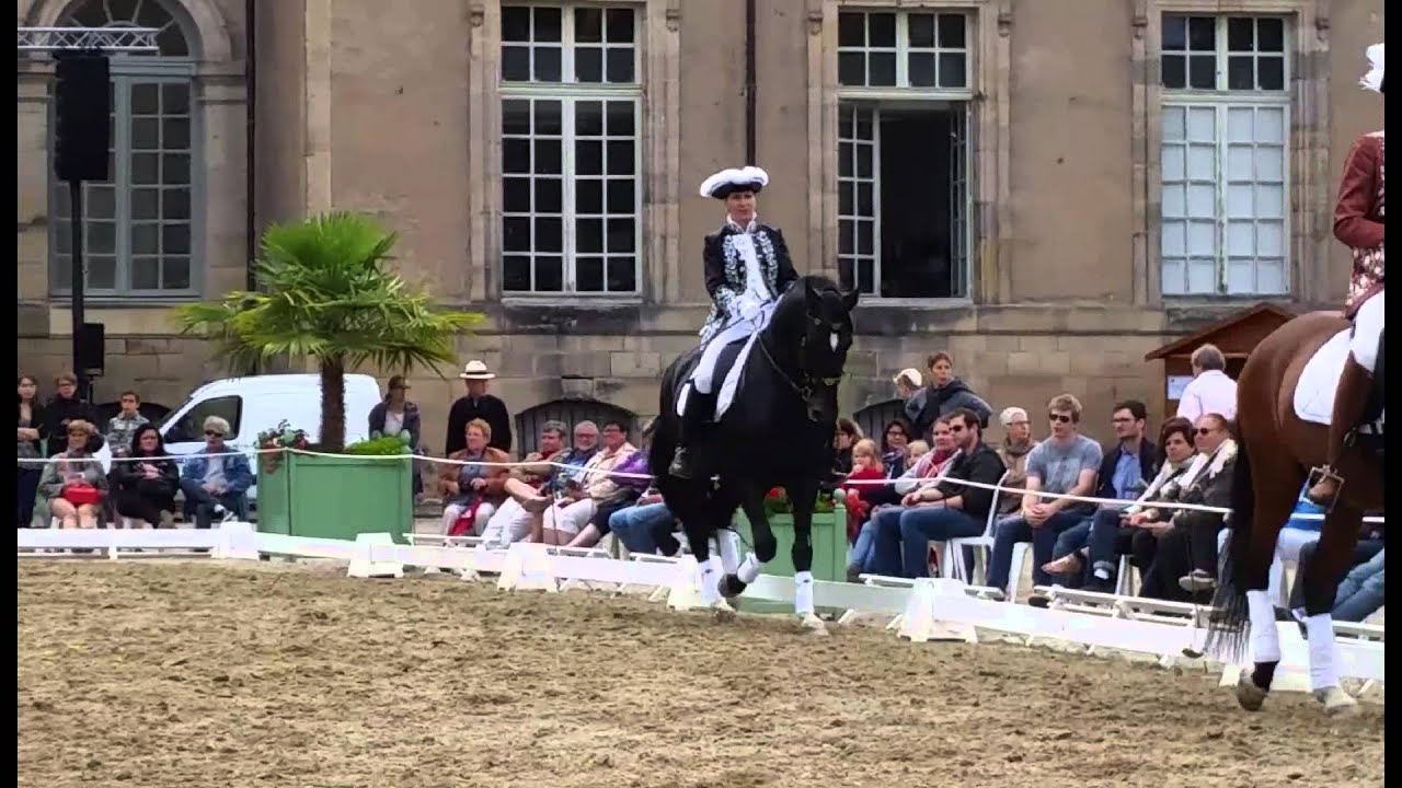 rencontres équestres lunéville