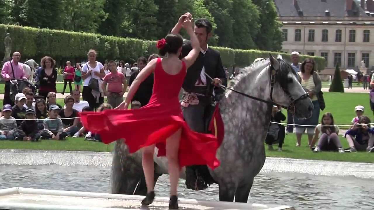 rencontres équestres lunéville 2014